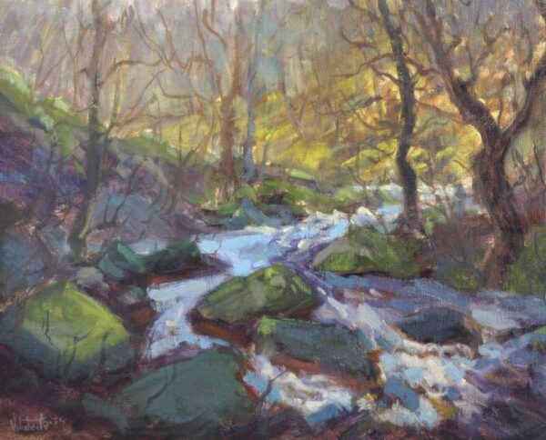 Early spring in padley gorge oil painting, which won two awards at the TALP exhibition in 2023