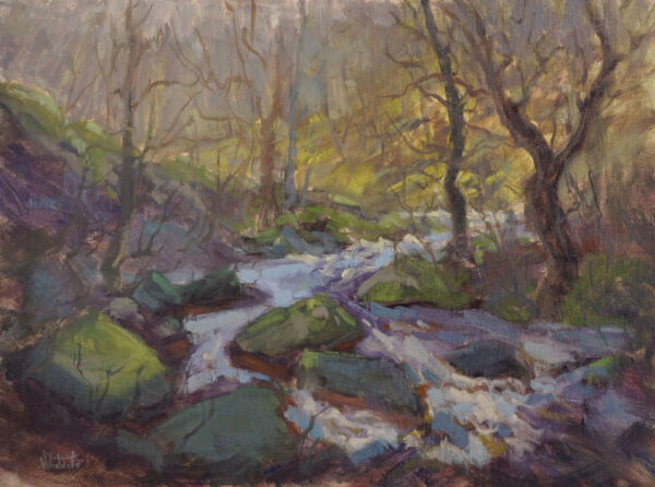 Early Spring in Padley Gorge