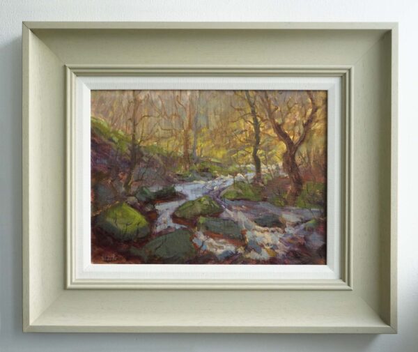 Early Spring in Padley Gorge - Image 2