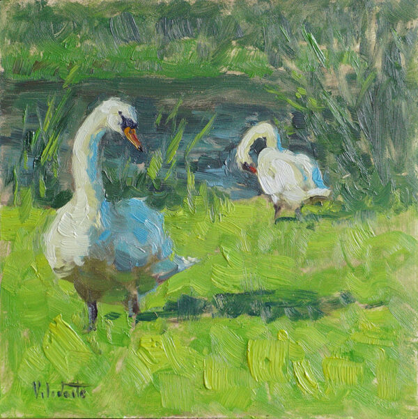 A Pair of Swans