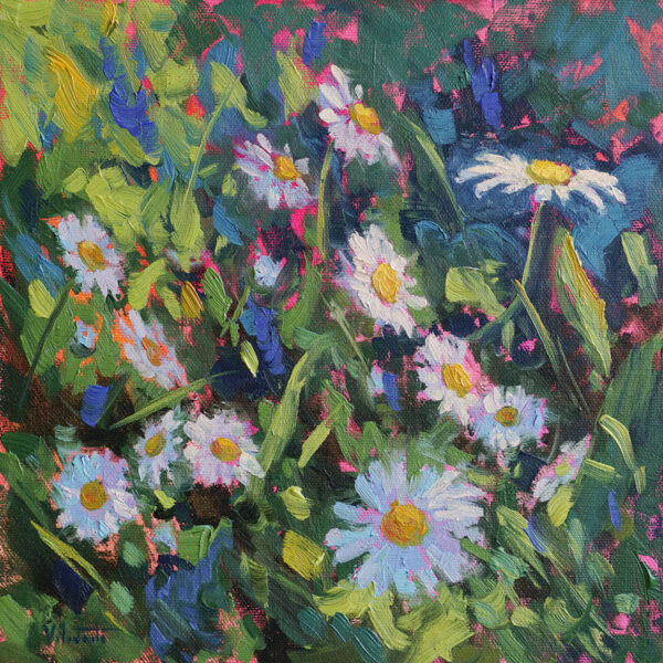 Daisies in Dappled Light