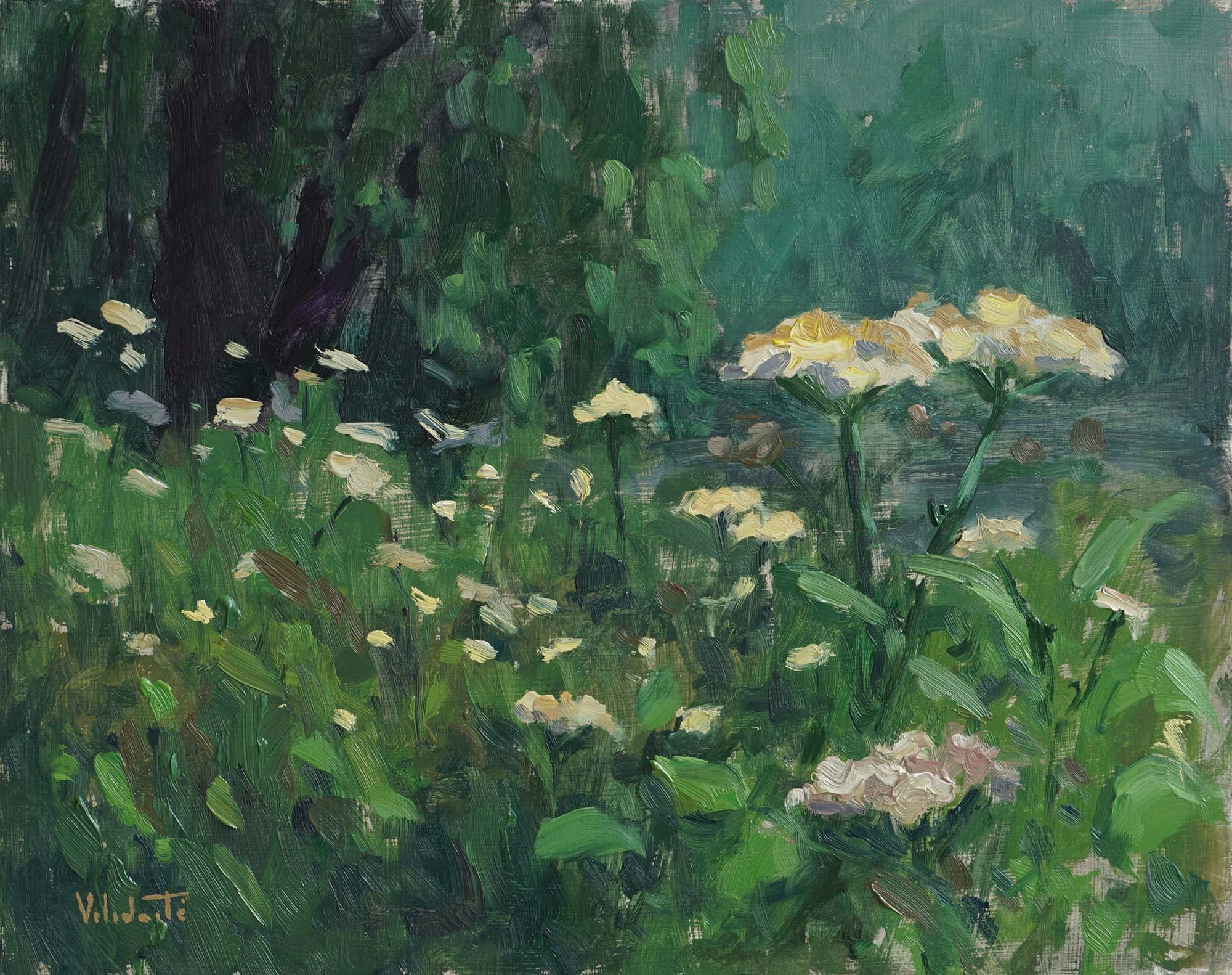 Hogweed Meadow