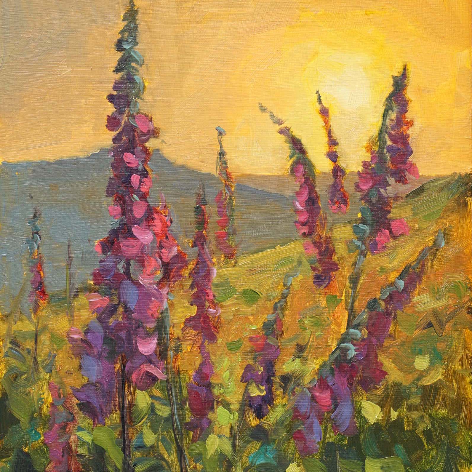 Low Sun on the Foxgloves s cropped